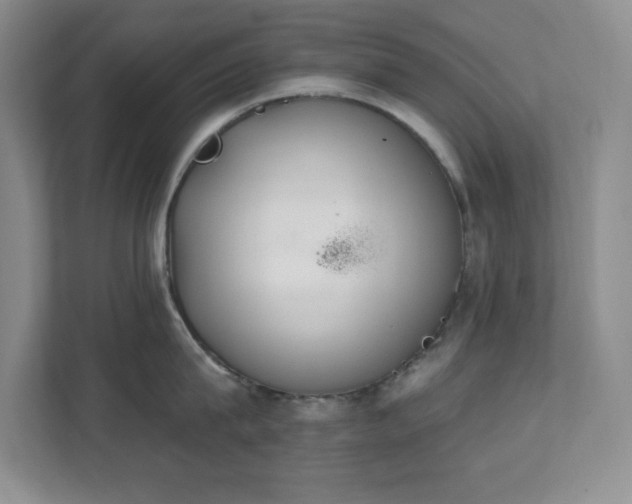 X0000112080815200908041253