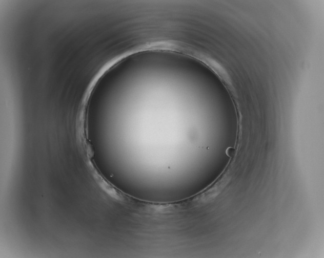 X0000112080816200908041252