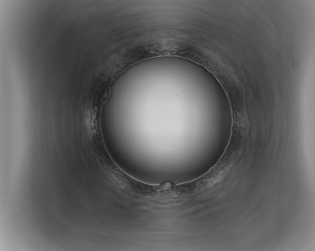 X0000112080818200908041252