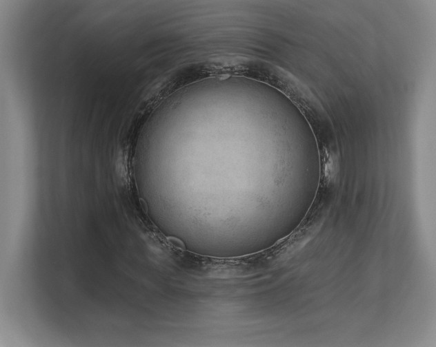 X0000112080819200908041252