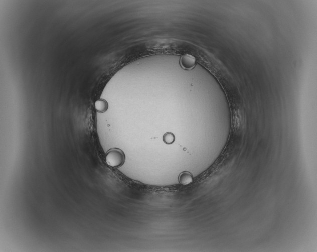 X0000112080820200908041252