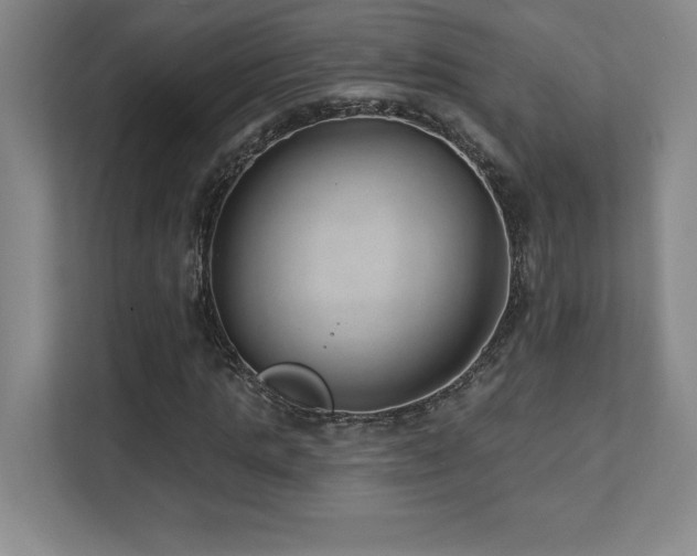 X0000112080821200908041252