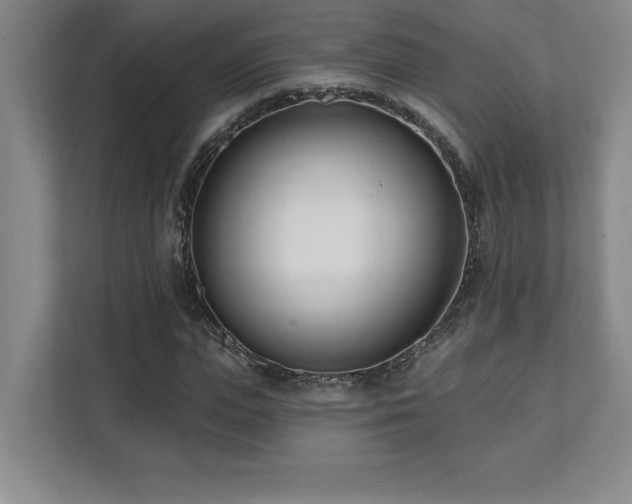 X0000112080823200908041252