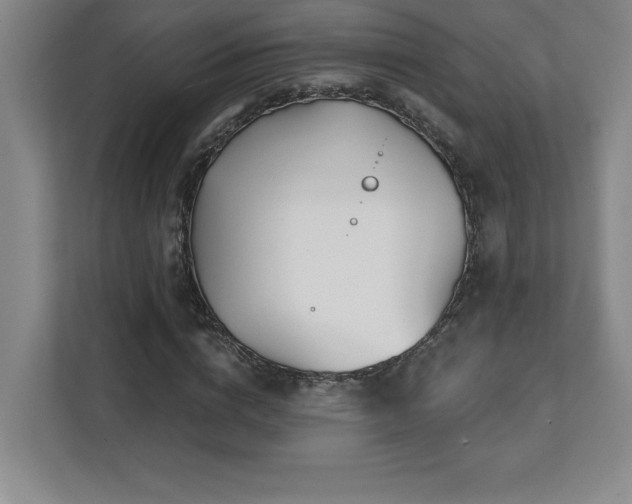 X0000112080824200908041252