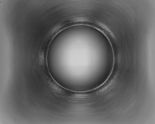 X0000112080825200908041252