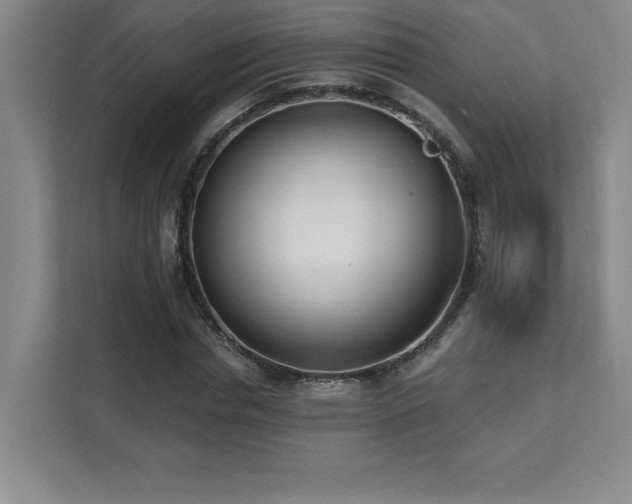X0000112080826200908041252