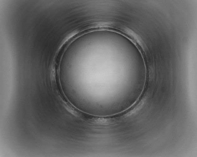 X0000112080827200908041252