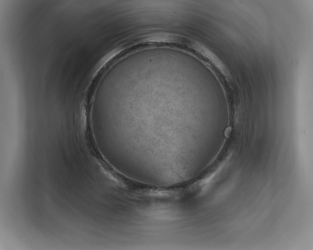 X0000112080829200908041252