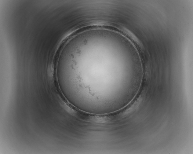 X0000112080831200908041252