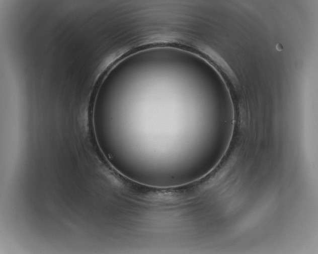 X0000112080834200908041252