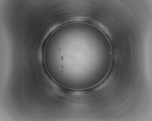 X0000112080835200908041252