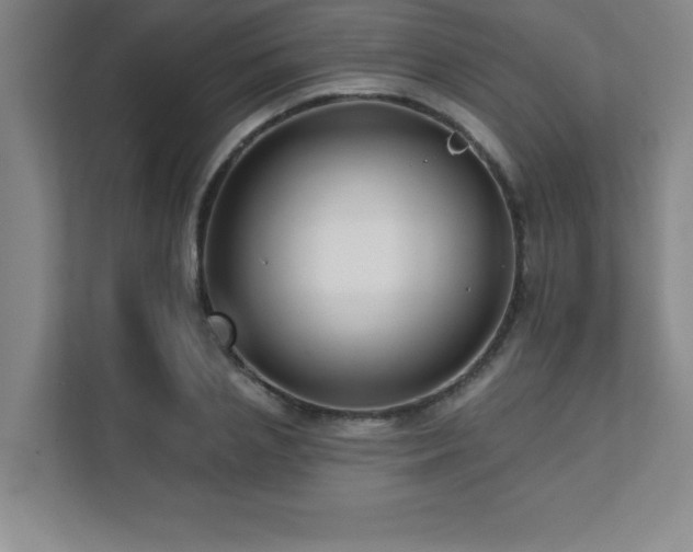 X0000112080837200908041252