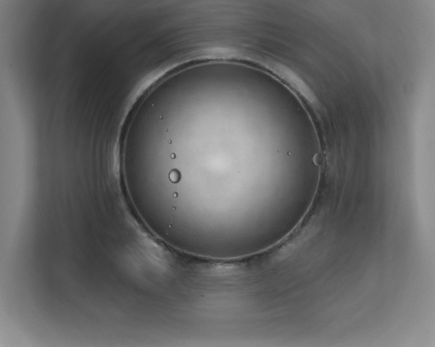 X0000112080839200908041252