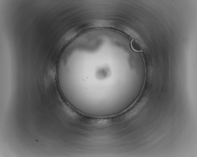 X0000112080841200908041252