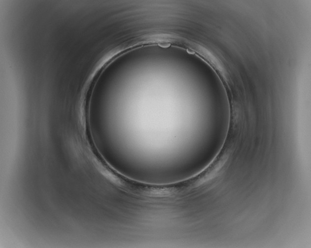 X0000112080843200908041252
