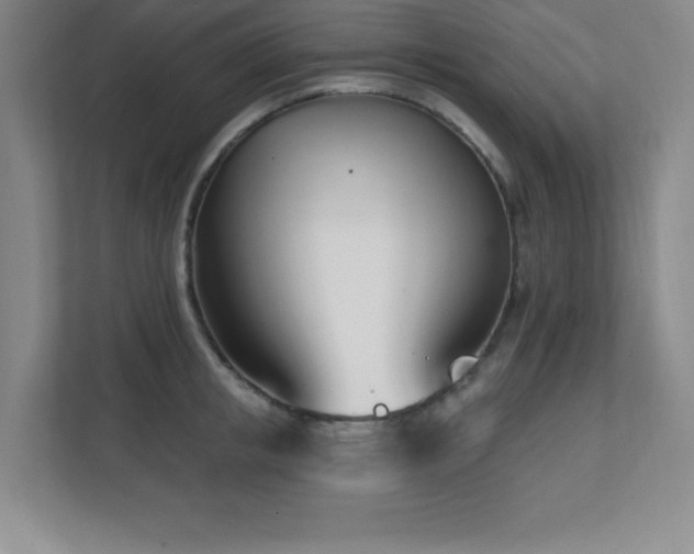 X0000112080853200908041252