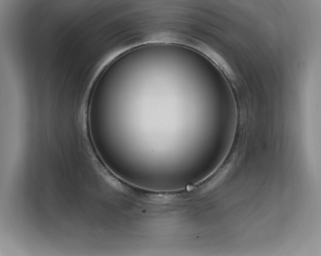 X0000112080854200908041252