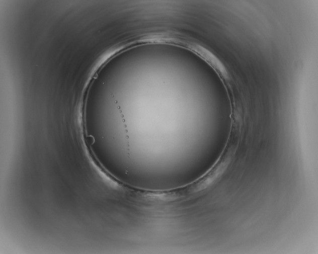 X0000112080855200908041252