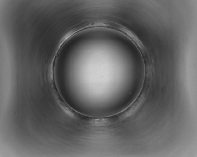 X0000112080858200908041252