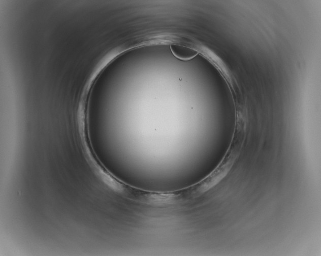 X0000112080859200908041252
