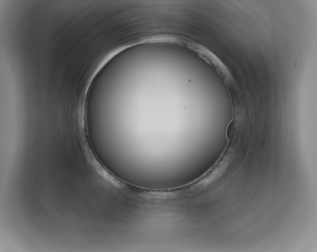 X0000112080860200908041252