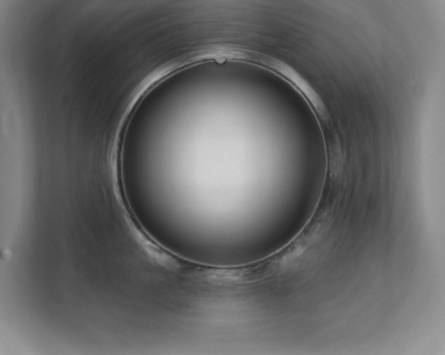X0000112080861200908041252