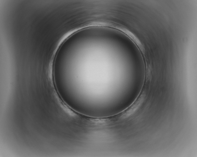 X0000112080862200908041252