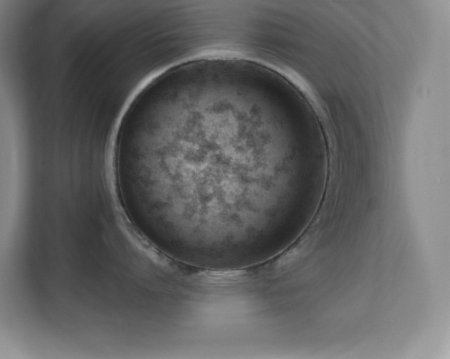 X0000112080864200908041252