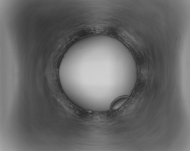 X0000112080865200908041252