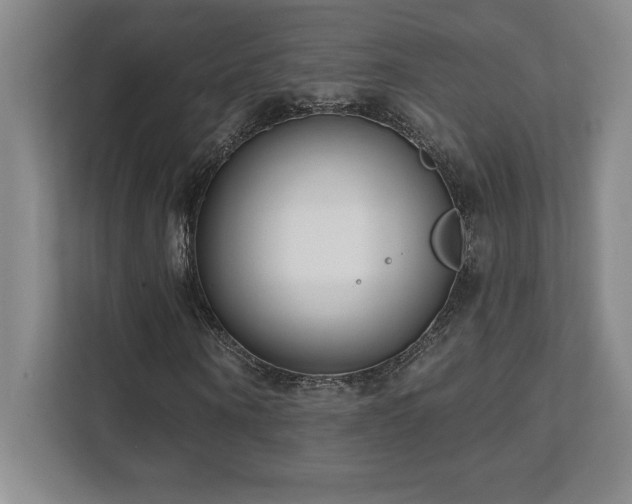 X0000112080866200908041252