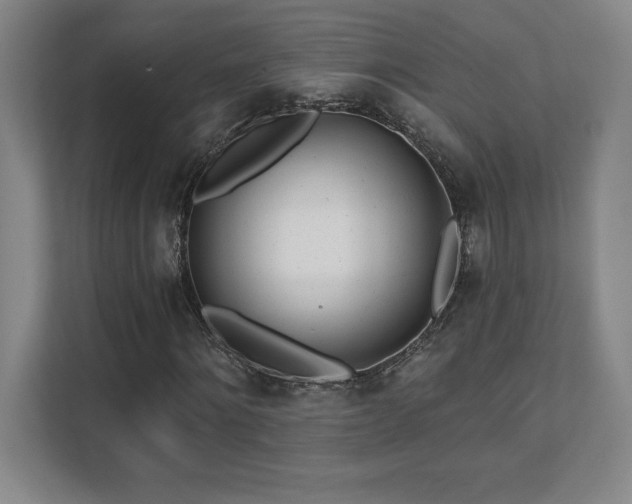 X0000112080868200908041252