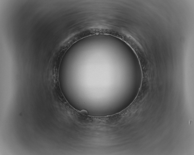 X0000112080870200908041252