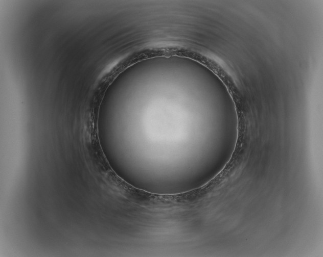 X0000112080871200908041252
