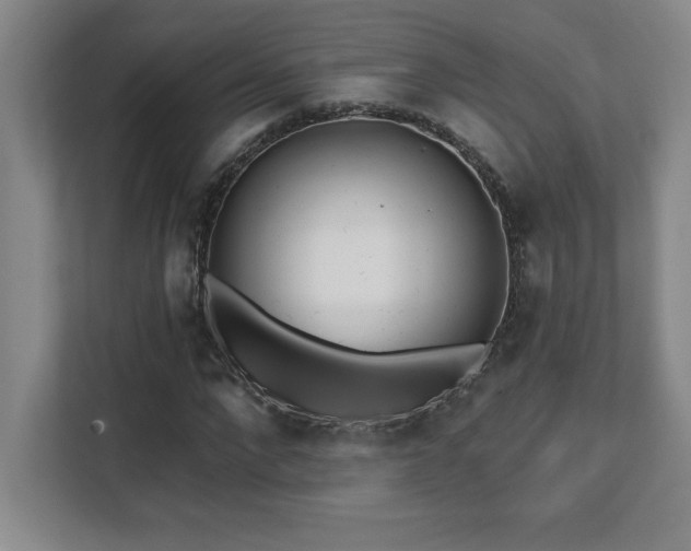 X0000112080872200908041252