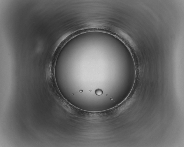 X0000112080875200908041252