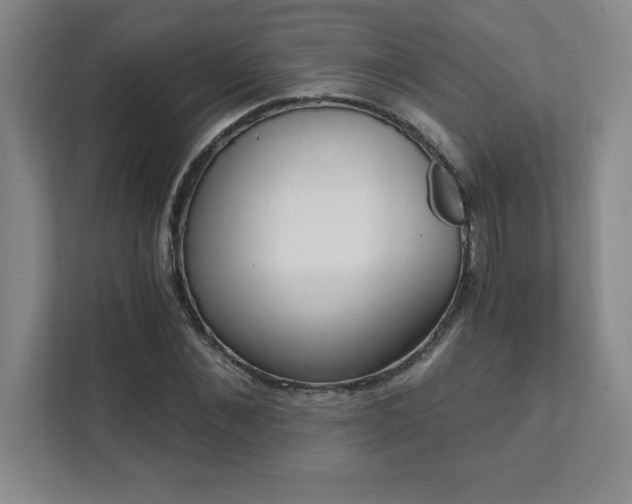 X0000112080876200908041252