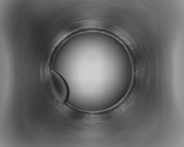 X0000112080877200908041252