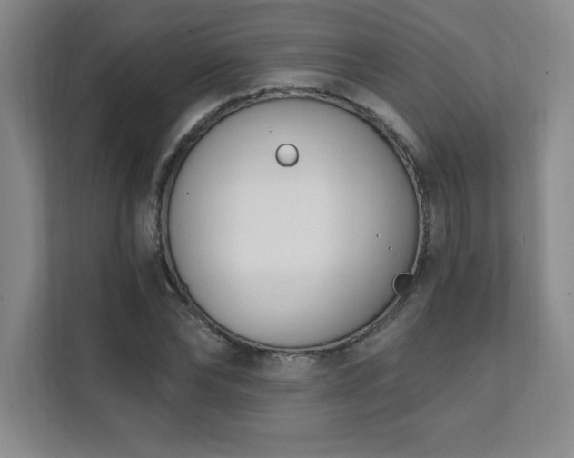 X0000112080878200908041252