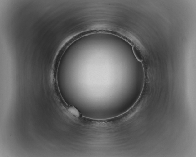 X0000112080880200908041252
