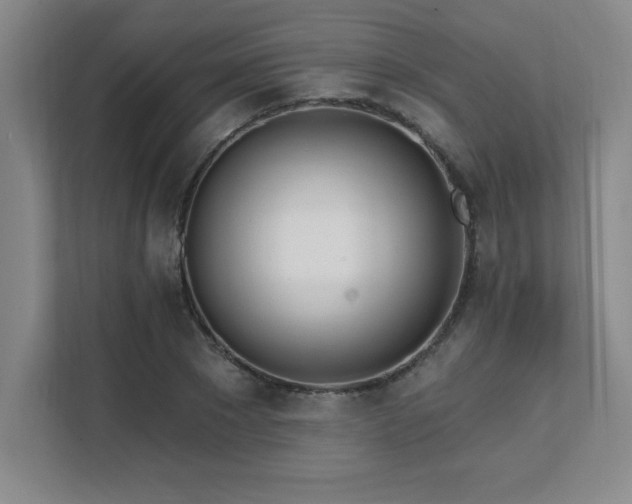 X0000112080881200908041252