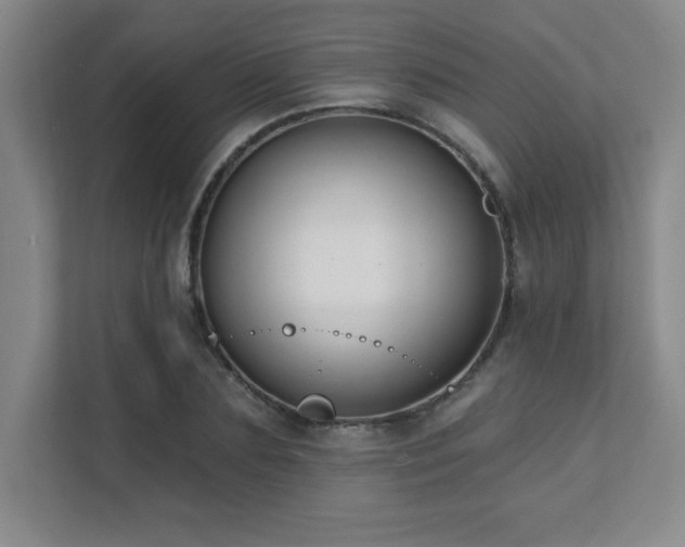 X0000112080883200908041252