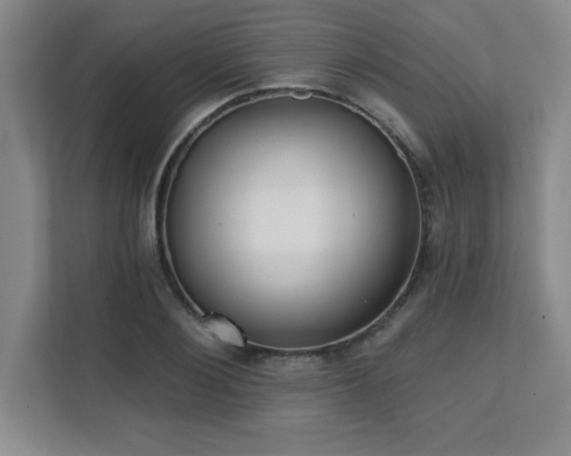 X0000112080884200908041252