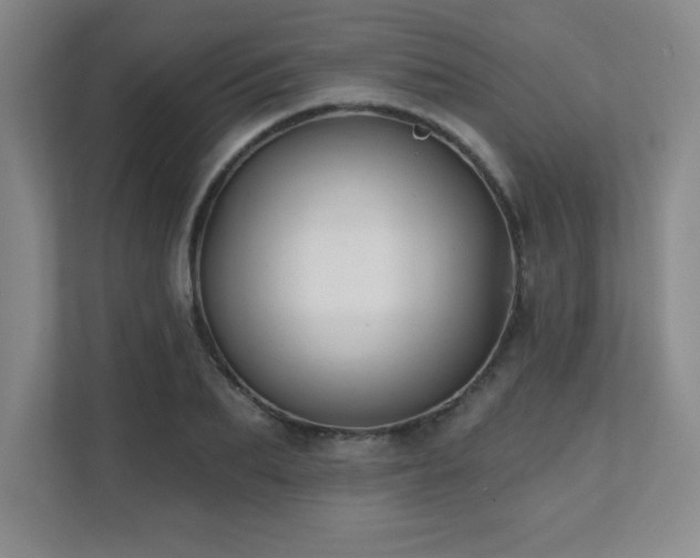 X0000112080887200908041252