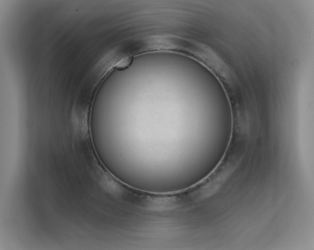 X0000112080889200908041252