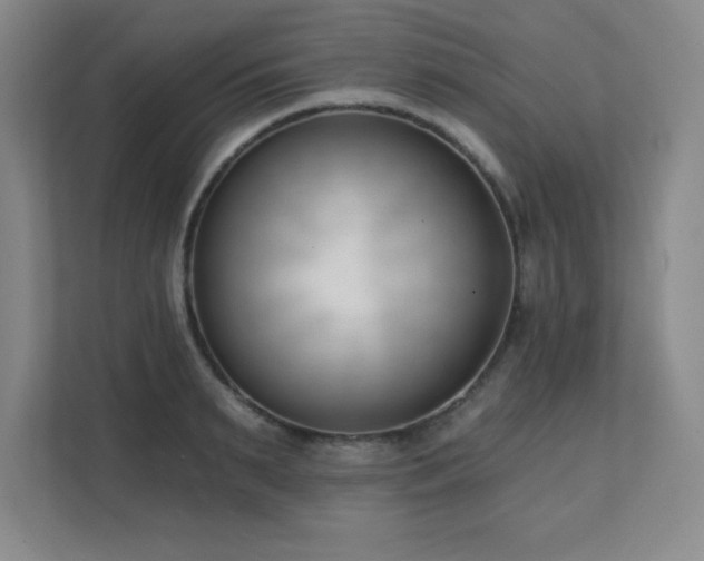 X0000112080895200908041251