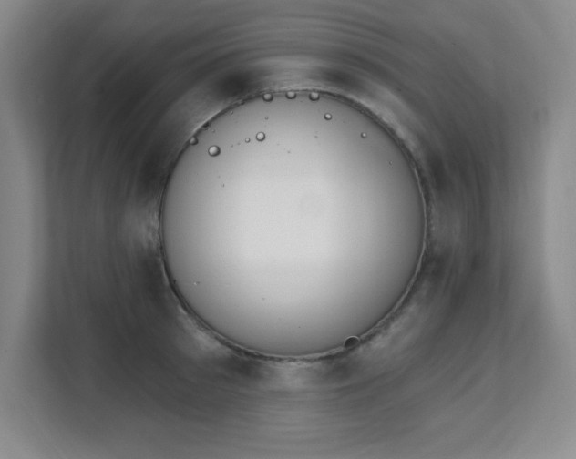X0000112080897200908041251