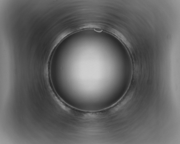 X0000112080898200908041251