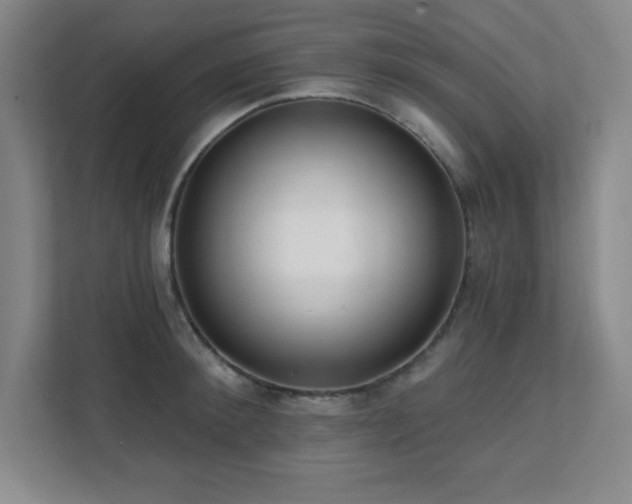 X0000112080900200908041251