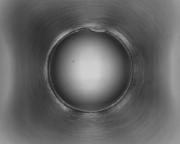 X0000112080902200908041251