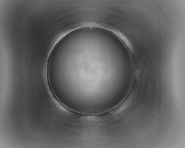 X0000112080903200908041251